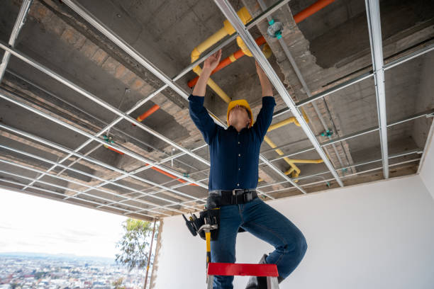 Best Best Plumbers Near Me  in Grove Hill, AL