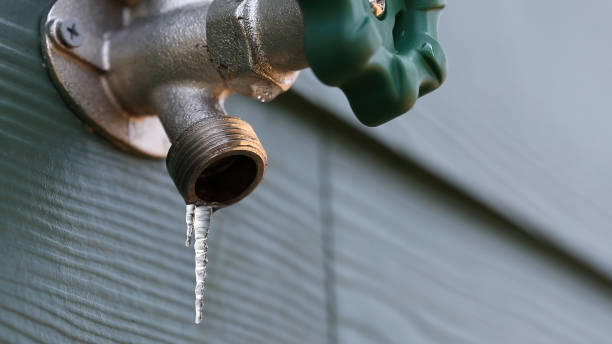 Best Emergency Plumber  in Grove Hill, AL